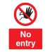 No Entry