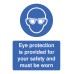 Eye Protection Provided for Your Safety and Must be Worn